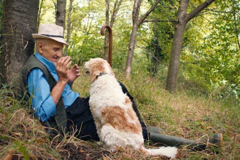 The Truffle Hunters film|The Truffle Hunters film|The Truffle Hunters film|The Truffle Hunters film|The Truffle Hunters film|The Truffle Hunters film