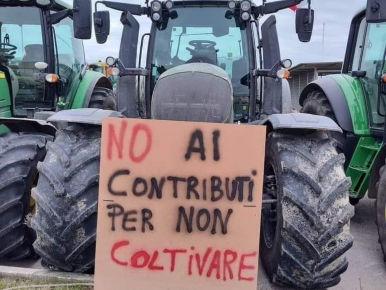 |Danilo Calvani - comitati riuniti agricoli