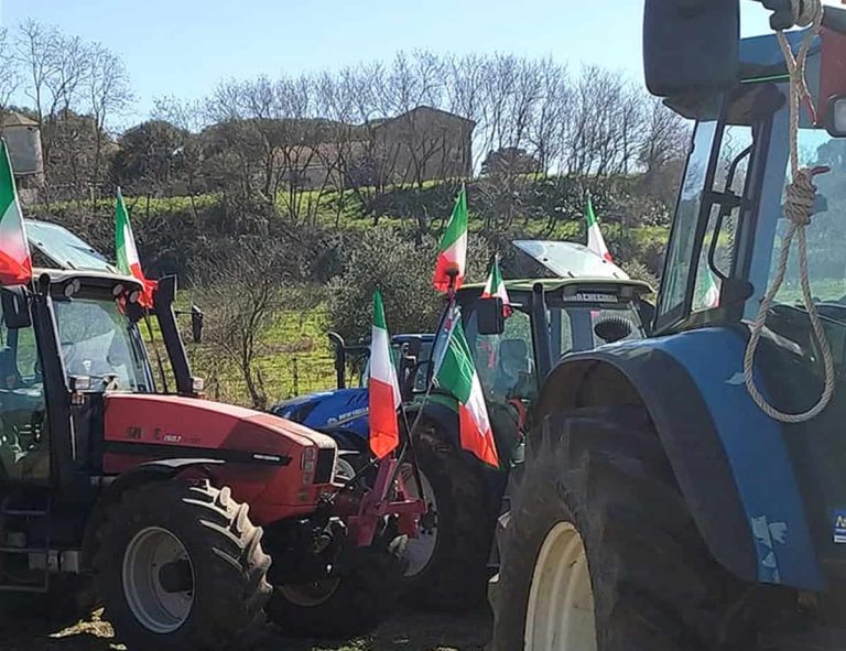 Trattori - Comitati riuniti agricoli - Roma