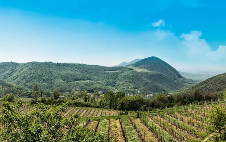paesaggio colli euganei|cantina colli euganei