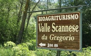 Insegna Bio Agriturismo Valle Scannese||||Gregorio Rotolo con una pecora|Interno negozio