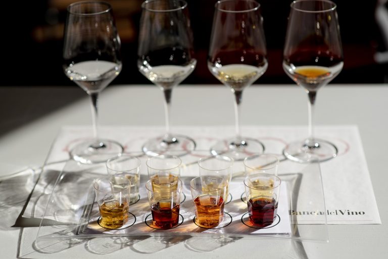 Degustazione di Vermouth|Bottiglie di Vermouth|Il grande libro del Vermouth di Torino
