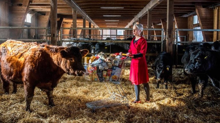 La locandina della mostra Food al Victoria and Albet Museum|Una stanza di Palazzo Butera con l'installazione di Fallen Fruit|