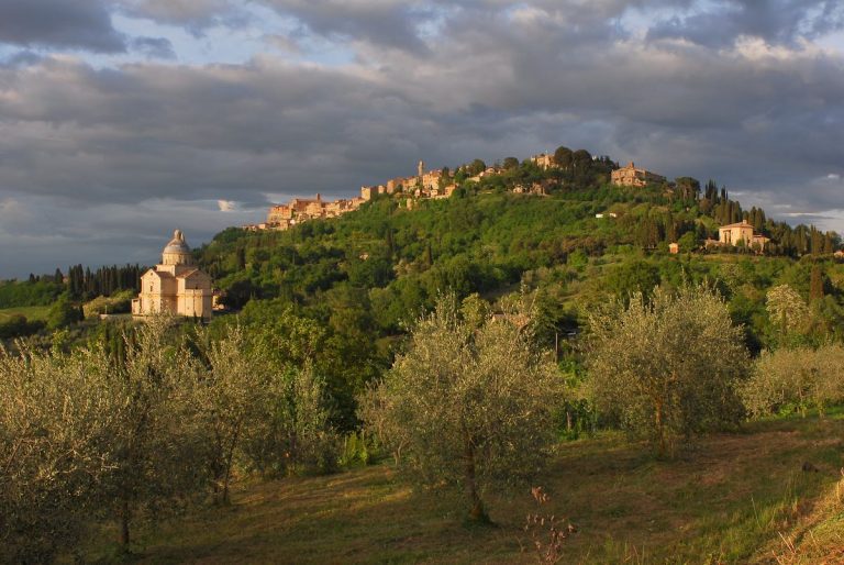 Vino Nobile di Montepulciano|Vigna in vendemmia Montepulciano