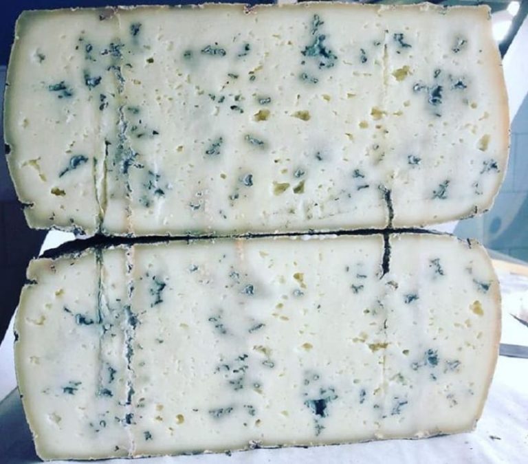 Una forma di erborinato di pecora Borgognone tagliata a metà