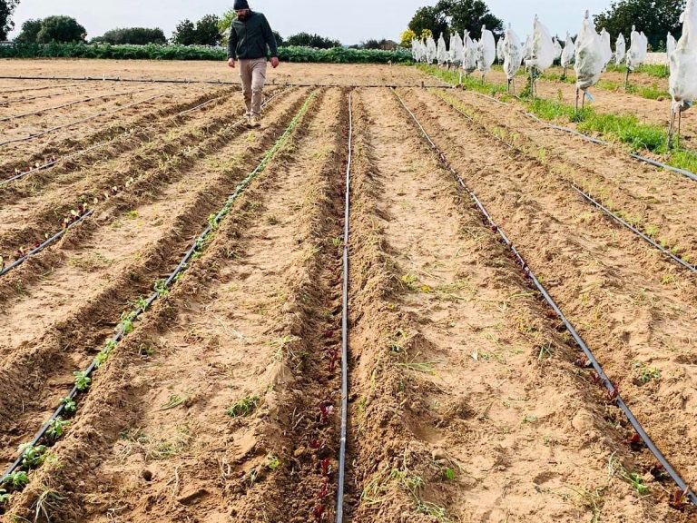 La terra degli Orti del Votavota|Causarano e Colombo in campagna|Giuseppe Causarano e Antonio Colombo|La sala di Votavota