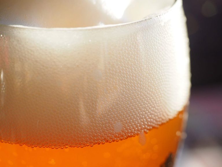 Un bicchiere di birra