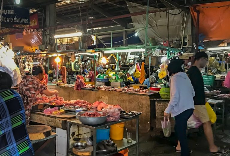 Tra i banchi di un wet market|Polli in gabbia in un wet market