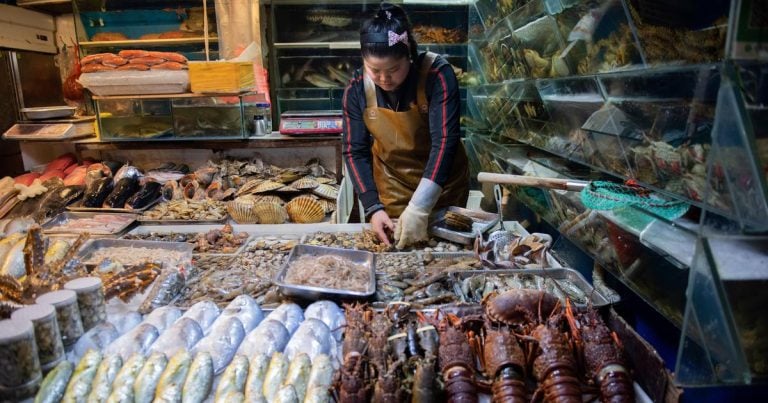 Un banco che vende crostacei in un wet market cinese|Mercato di Wuhan visto attraverso il telefono|Banco del mercato di Wuhan|Banco della carne al mercato di Wuhan