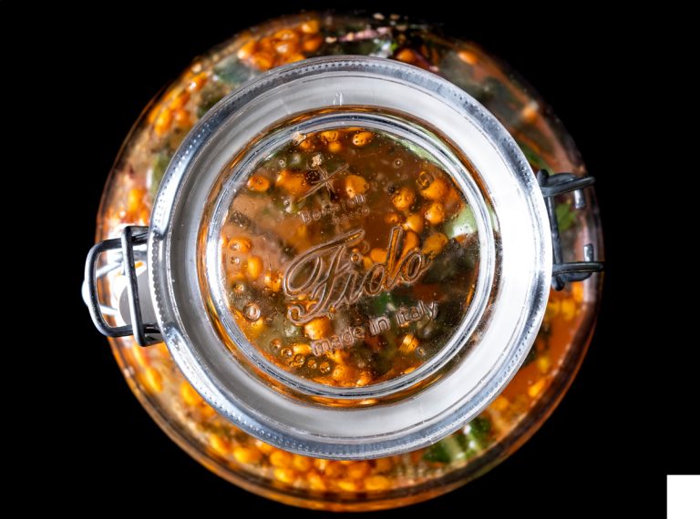 kombucha - foto Lido Vannucchi