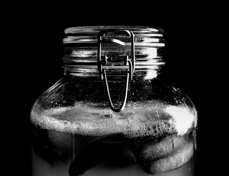 Kombucha. Foto di Lido Vannucchi|||
