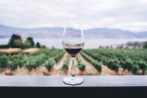 calice in vigna - foto di Kym Ellis per unsplash|tappi foto di Blackieshoot per unsplash