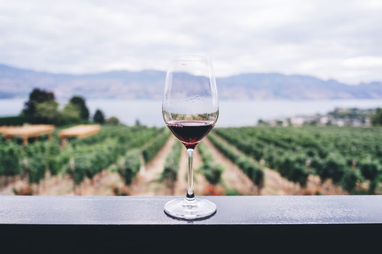calice in vigna - foto di Kym Ellis per unsplash|tappi foto di Blackieshoot per unsplash
