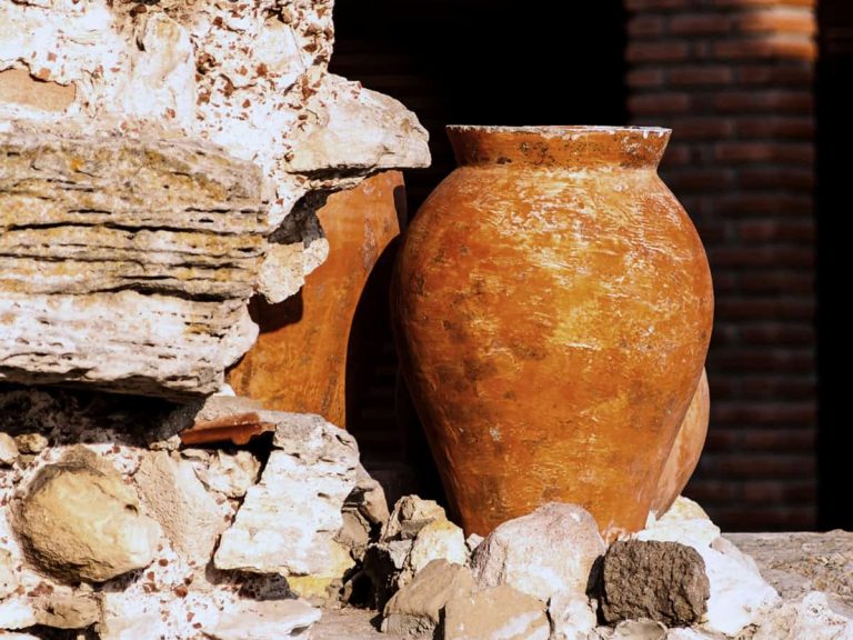 vini in anfora - Amphora revolution 2024|