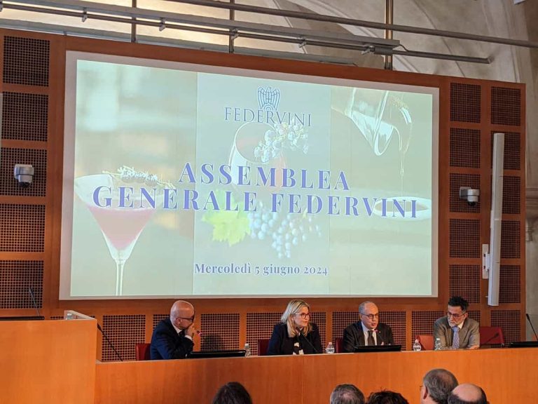 Assemblea Federvini - 5 giugno 2024