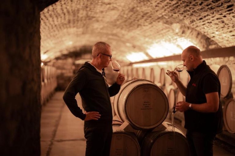 asta vini 50 milioni|Pierre Chen Vini||