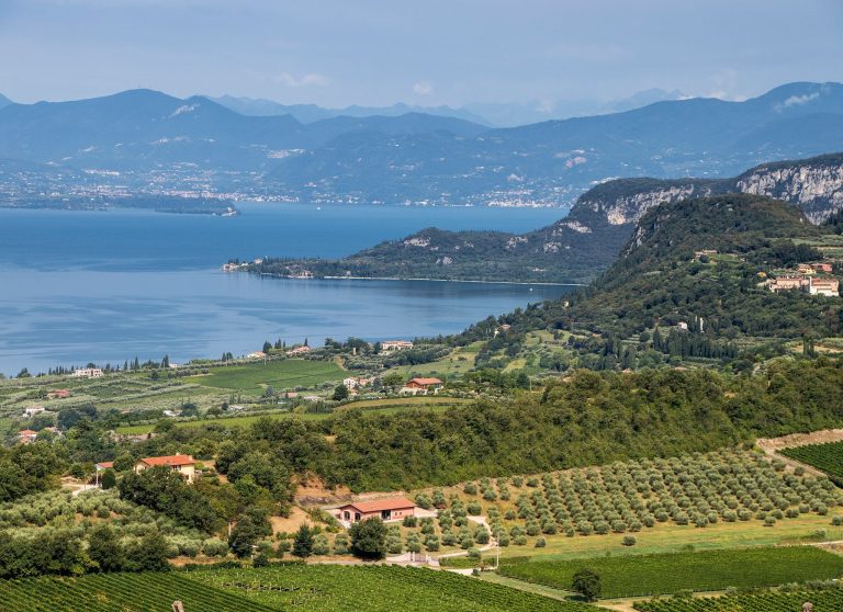 Vigne e campagna sul lago di Garda|Le vigne di Bardolino|Il campanile di una pieve tra le vigne di Bardolino