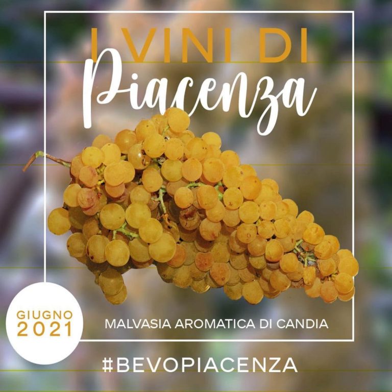 La locandina di Bevopiacenza|malvasia