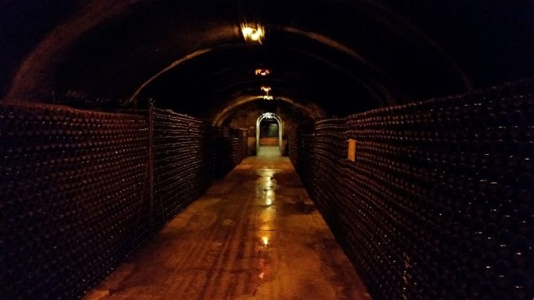 Catina Bollinger|cantina vinchio vaglio serra||Kellerei_Kalte. Foto _Florian_Andergassen|terre cevico|cantina di solopaca uva|cantina san donaci|cantine colomba bianca|cantine di dolianova