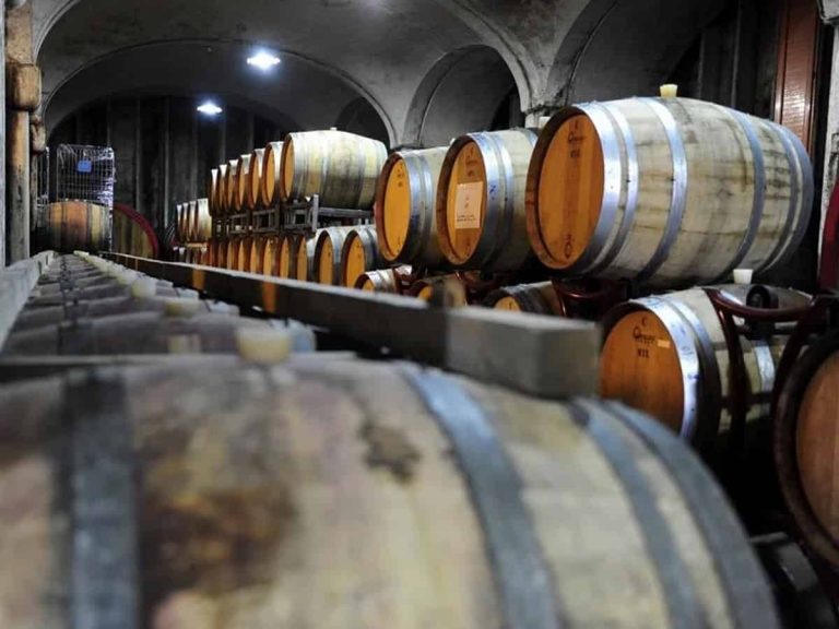 Cantina Taburno - barricaia - foto Cantina del Taburno