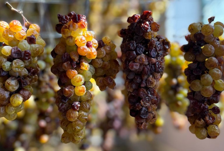 Vini Rari. Due dolci dalla Calabria|