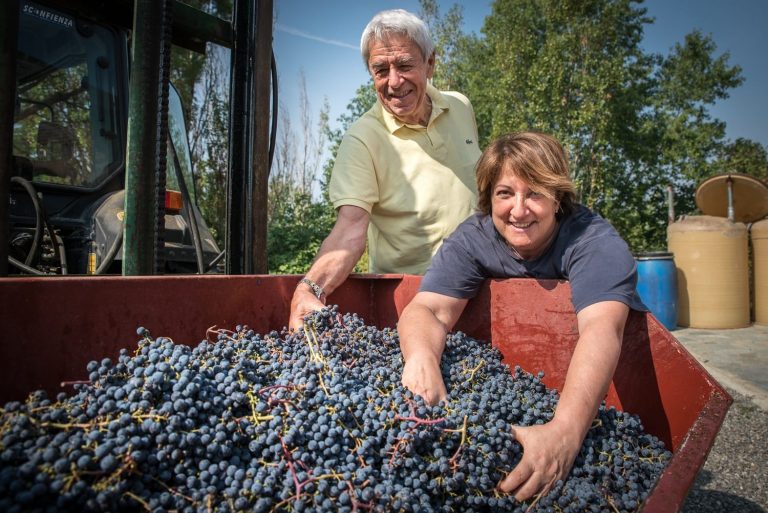 Bruno Carvi e Donatella Giannotti con l'uva vendemmiata