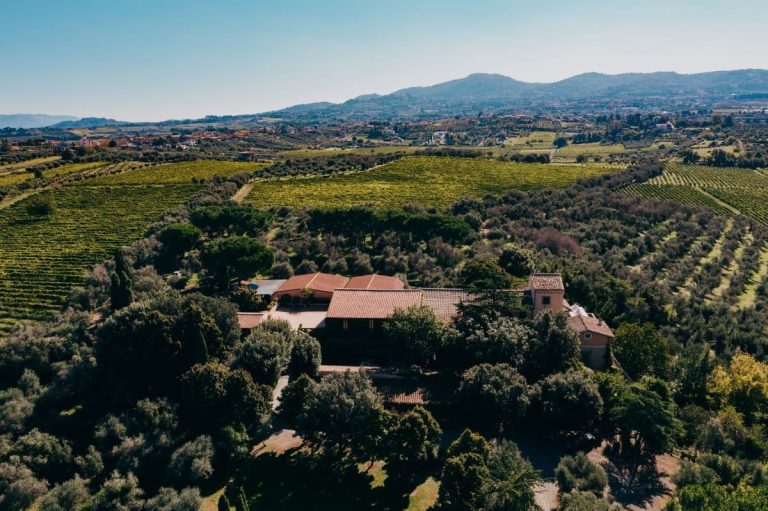 Vigneto Casale Marchese a Frascati|Vigneti Casale Marchese a Frascati|Castel de Paolis Cantina|F|Vite dei Castelli Romani