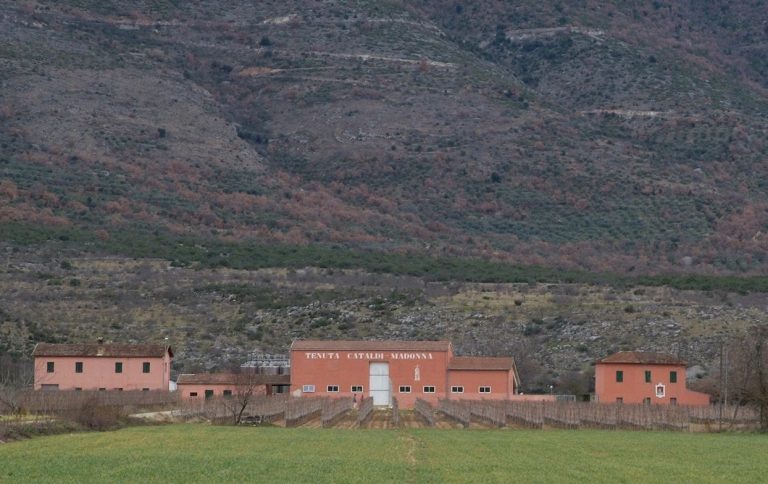 cataldi madonna|calici di vino