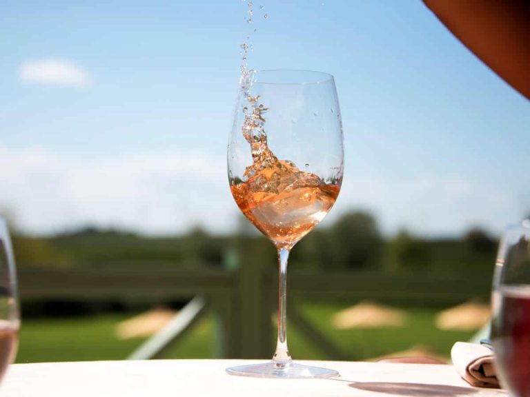 Chiaretto di Bardolino - foto calice|Rosati - calice - foto vini Rivera - Castel del Monte|Ciro Melissa - uve gaglioppo|Prosecco Doc rose - calice - foto Consorzio Prosecco Doc|