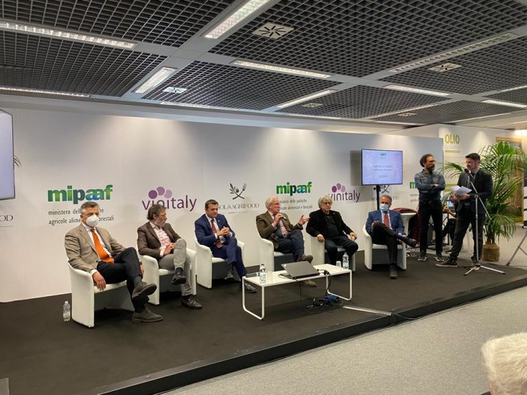 Convegno-Federdoc-Vinitaly