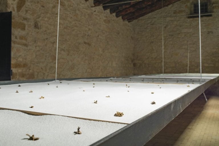 Corpo Fragile di Ignazio Mortellaro_ph Maria Lo Meo|vigneti della Cantina Planeta (1)