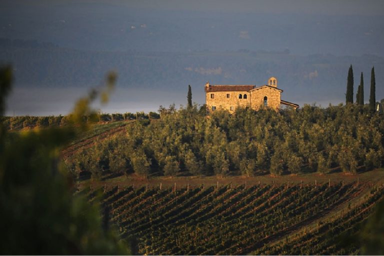 |vino dolce dell'anno