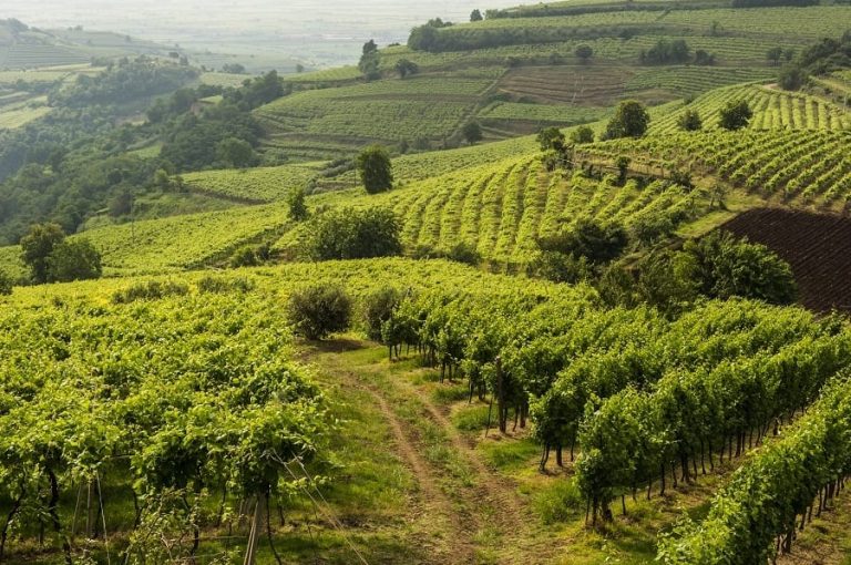|Metodo classico veneto