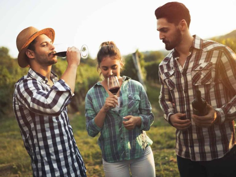 |Enoturismo - Vendemmia didattica_LaTorricella