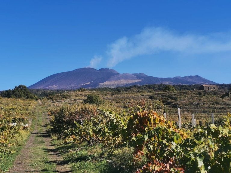 Etna_Vista2|Etna viticoltura|Palmento_08 viticoltura Etna anticac|EXE_MAPPA_DOC_ETNA_IT copia|