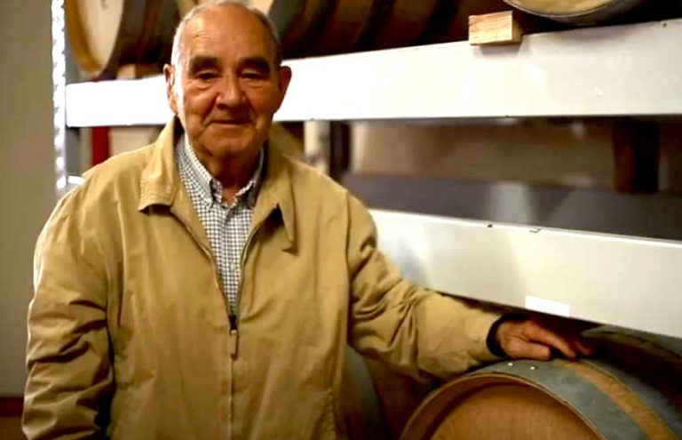 Giuseppe Bisci|verdicchio-di-matelica-bottiglia-quarantesimo|Vigneto Fogliano