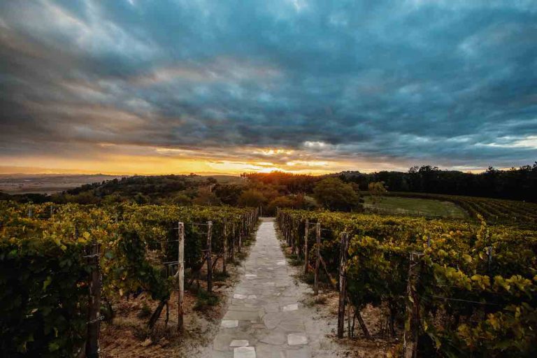 Fattoria Villa Saletta|Villa Saletta Settembre 2020|Fattoria Villa Saletta|Fattoria Villa Saletta|Fattoria Villa Saletta|Fattoria Villa Saletta|Fattoria Villa Saletta