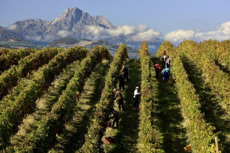 App Percorsi del Consorzio Tutela Vini d’Abruzzo
