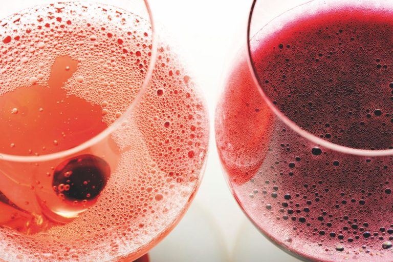 I colo|le vigne di Lambrusco|le vigne di Lambrusco|Le uve del Lambrusco|I colori del Lambrusco|I colori del Lambrusco