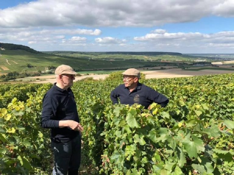 Alberto Massucco in vigna nella Champagne|Champagne di Alberto Massucco