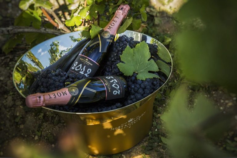 Secchiello con due bottiglie di champagne in vigna|classifica Brand Finance|