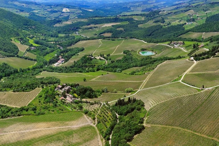 Radda in Chianti: Monterinaldi|Radda in Chianti: Monteraponi|Radda in Chianti degustazione annata 2016|Radda in Chianti