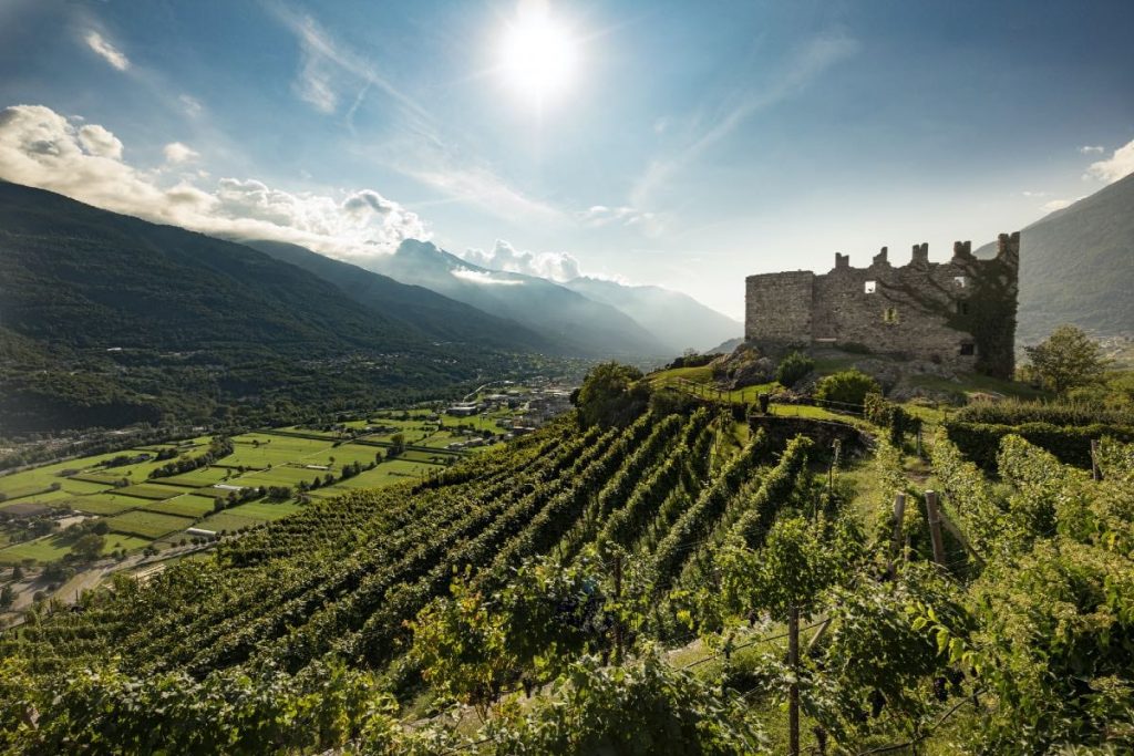 Cantina Nino Negri in Valtellina