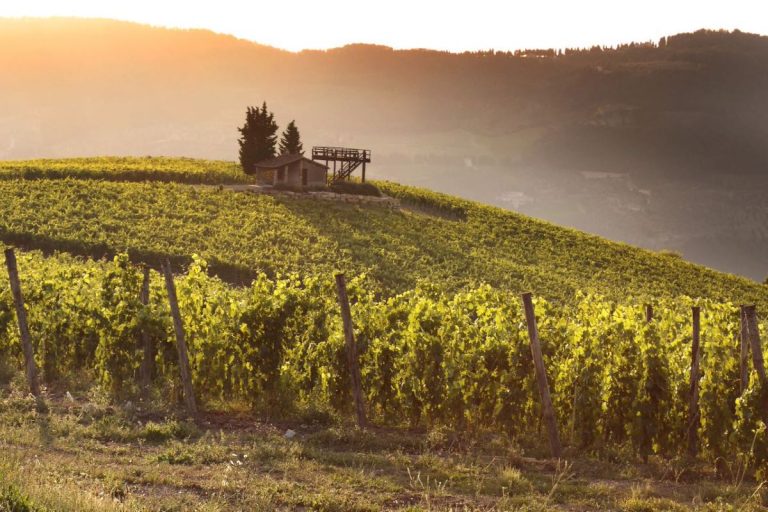 Nipozzano Rufina vino|Nipozzano Rufina vino|frescobaldi Rufina vino|Selvapiana Rufina vino|Selvapiana Rufina vino|iVeroni Rufina vino|Frascole Rufina vino|Rufina vino Frescobaldi|Frascole Rufina vino|iveroni Rufina vino|Rufina vino Grignano-Paquito|Rufina vino