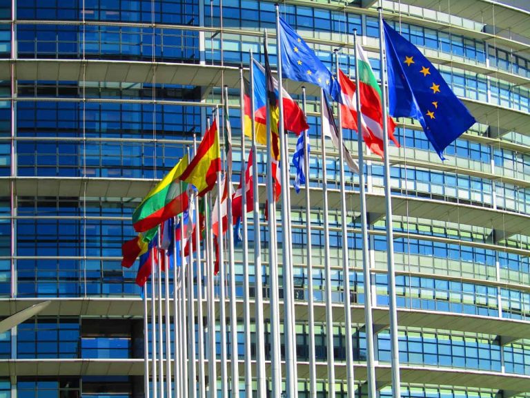 Parlamento europeo - agricoltura - riforma delle Ig - Pac