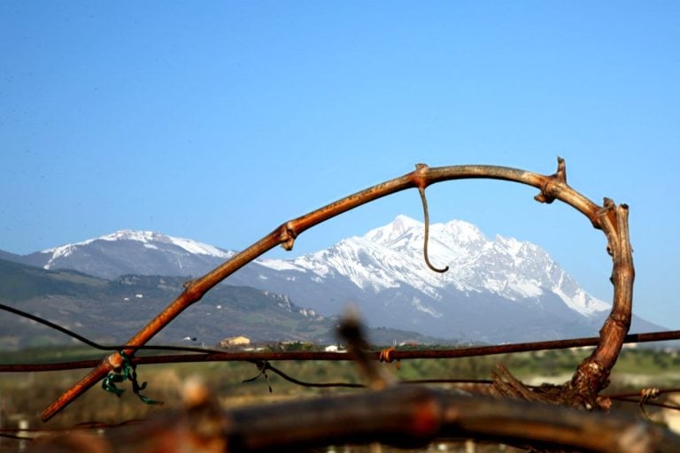 |Miglior rosato dell'anno - i produttori|Vino rosato