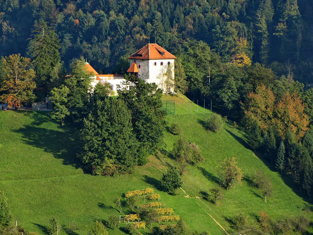 Lo chef sloveno amante del foraging che cucina in un castello remoto