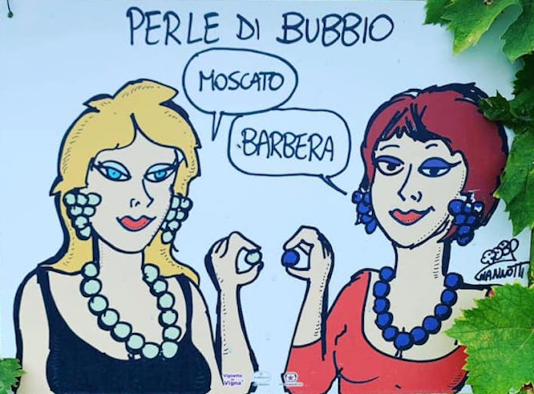 |fumetto azienda Gianfranco Torelli.|fumetto azienda Gianfranco Torelli.|certificazione primo vino bio|esterni azienda Gianfranco Torelli.|torelli col vino