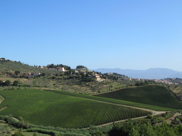 cantina piaggia||cantina Centopassi|vino rosso