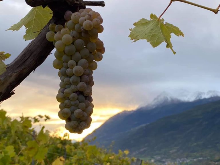 Rosset Terroir Sopraquota 900